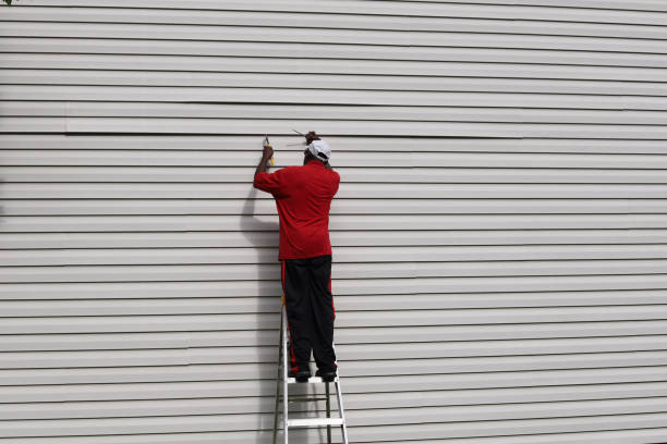 Best Custom Siding Design  in Kaanapali, HI